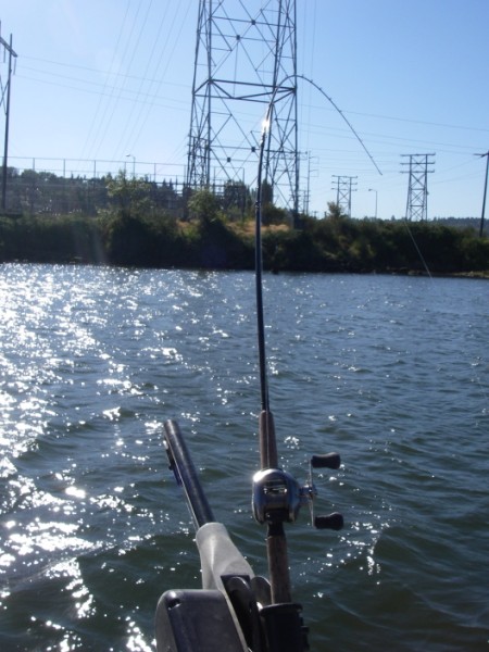 Machine tools & Fishing (35).jpg Machine tools & Fishing (35).jpg